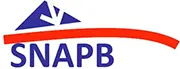 SNAPB-Syndicat National des applicateurs de la préservation des bois : Termites, Charpente, Capricorne, Vrillettes, Lyctus, Mérule…