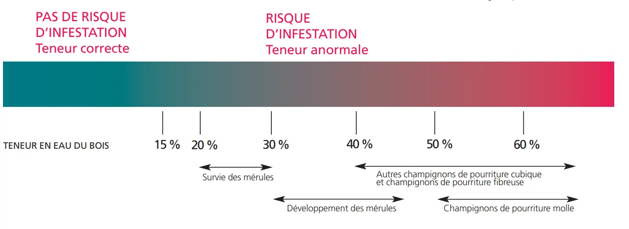 risque d'infestation par la mérule en fonction du taux d'humidité