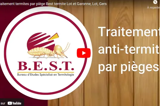 Traitement termites par pièges appâts vidéo youtube