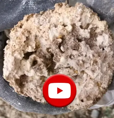traitement préventifs et curatifs anti-termites à MOISSAC